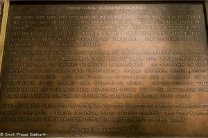 Namibia, A Road Trip - 1 - Windhoek-28