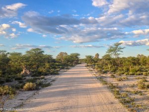 Namibia, A Road Trip - 2 - Onguma, Etosha-15