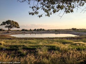 Namibia, A Road Trip - 2 - Onguma, Etosha-33