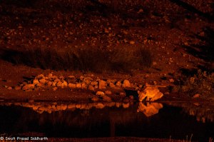 Namibia, A Road Trip - 2 - Onguma, Etosha-7