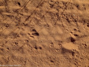 Namibia, A Road Trip - 3 - Damaraland-16