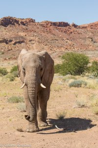 Namibia, A Road Trip - 3 - Damaraland-20