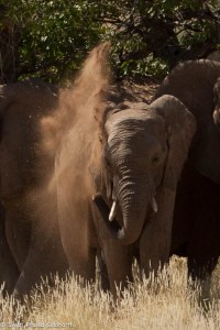 Namibia, A Road Trip - 3 - Damaraland-24