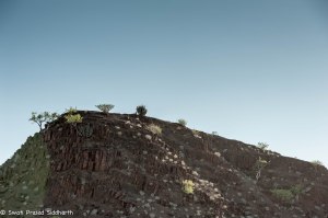 Namibia, A Road Trip - 3 - Damaraland-28