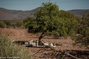 Namibia, A Road Trip - 3 - Damaraland-4
