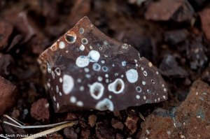 Namibia, A Road Trip - 3 - Damaraland-8