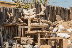 Namibia, A Road Trip - 4 - Skeleton Coast-17