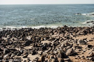 Namibia, A Road Trip - 4 - Skeleton Coast-18