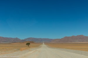 Namibia, A Road Trip - 5 - Wolwedans-15