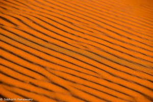 Namibia, A Road Trip - 5 - Wolwedans-19