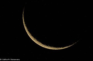 Namibia, A Road Trip - 5 - Wolwedans-21