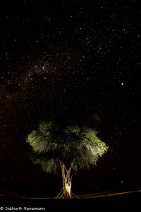 Namibia, A Road Trip - 5 - Wolwedans-22