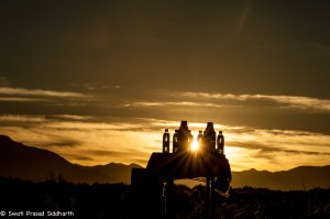 Namibia, A Road Trip - 5 - Wolwedans-24