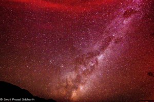 Namibia, A Road Trip - 5 - Wolwedans-42