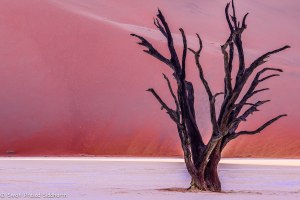 Namibia, A Road Trip - 6 - Sossusvlei, Dead Vlei-15
