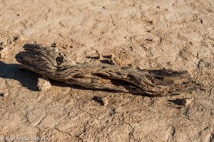 Namibia, A Road Trip - 6 - Sossusvlei, Dead Vlei-18