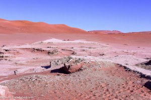 Namibia, A Road Trip - 6 - Sossusvlei, Dead Vlei-19