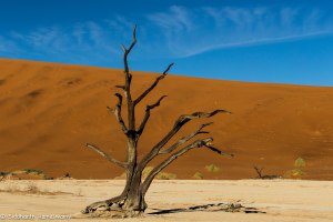 Namibia, A Road Trip - 6 - Sossusvlei, Dead Vlei-20