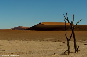 Namibia, A Road Trip - 6 - Sossusvlei, Dead Vlei-21