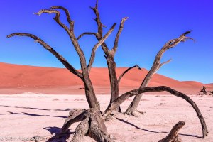 Namibia, A Road Trip - 6 - Sossusvlei, Dead Vlei-24