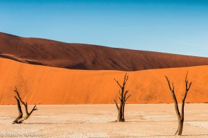Namibia, A Road Trip - 6 - Sossusvlei, Dead Vlei-28