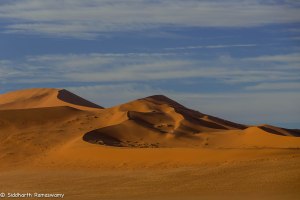 Namibia, A Road Trip - 6 - Sossusvlei, Dead Vlei-32
