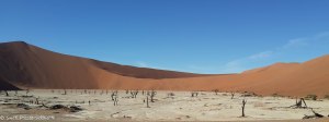 Namibia, A Road Trip - 6 - Sossusvlei, Dead Vlei-7