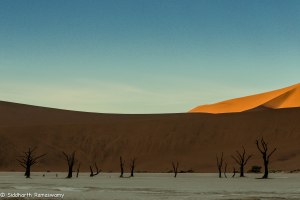 Namibia, A Road Trip - 6 - Sossusvlei, Dead Vlei-9