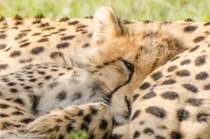 Developing The Eye - One - Bliss-1