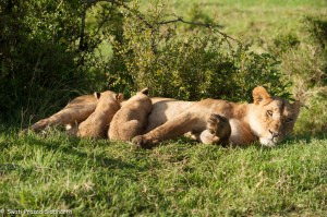 Developing The Eye - One - Bliss-3