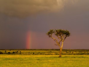 Developing The Eye - One - Bliss-4