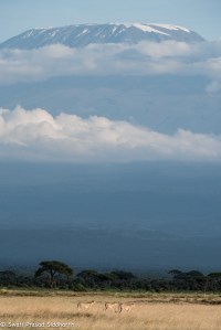 Developing The Eye - One - Big-1